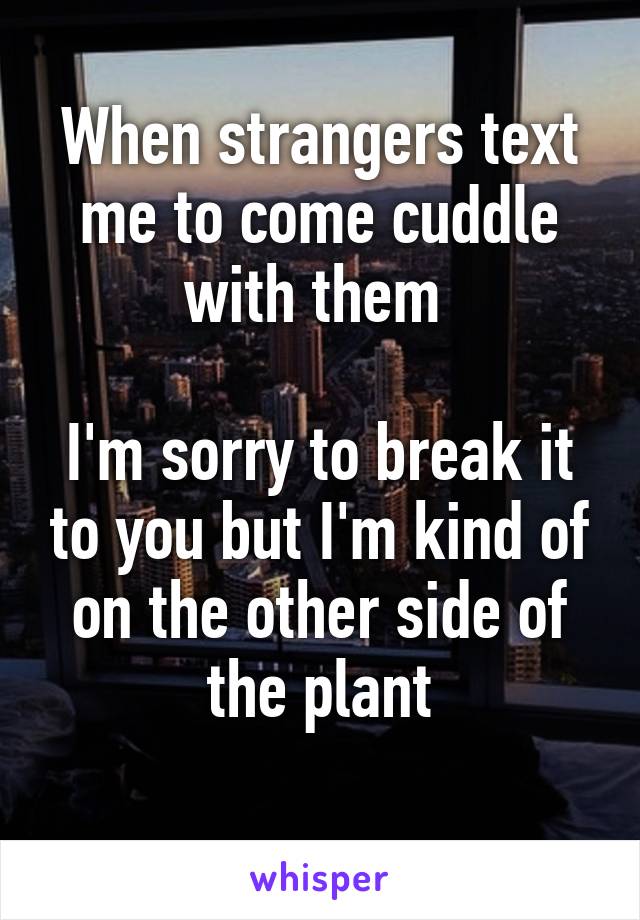 When strangers text me to come cuddle with them 

I'm sorry to break it to you but I'm kind of on the other side of the plant
