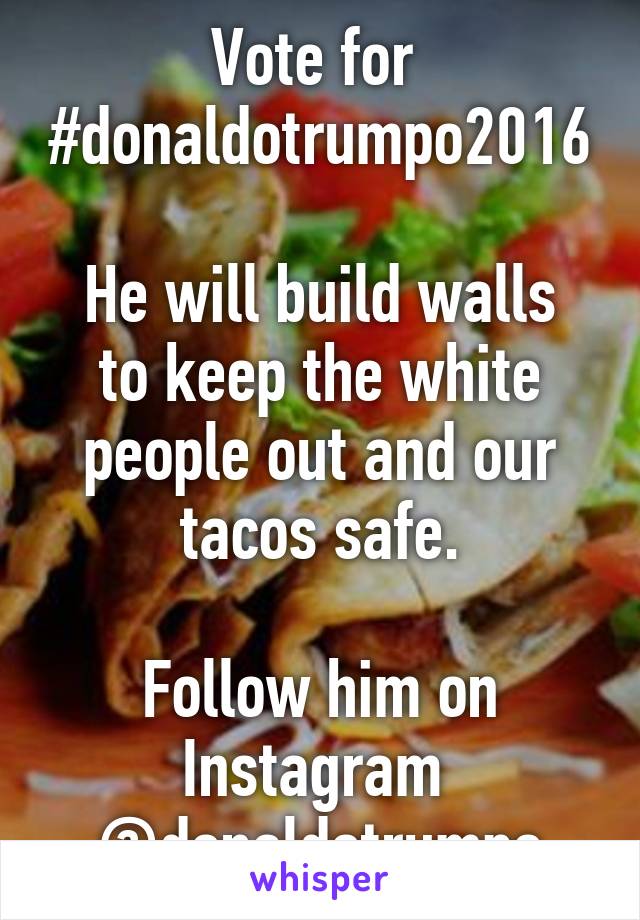 Vote for 
#donaldotrumpo2016

He will build walls to keep the white people out and our tacos safe.

Follow him on Instagram 
@donaldotrumpo