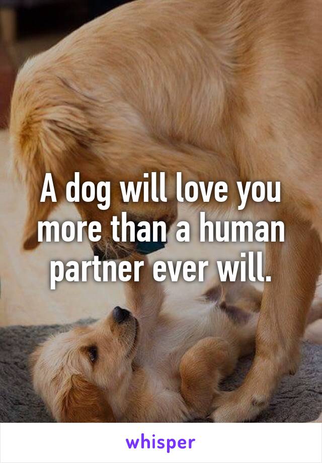 A dog will love you more than a human partner ever will.
