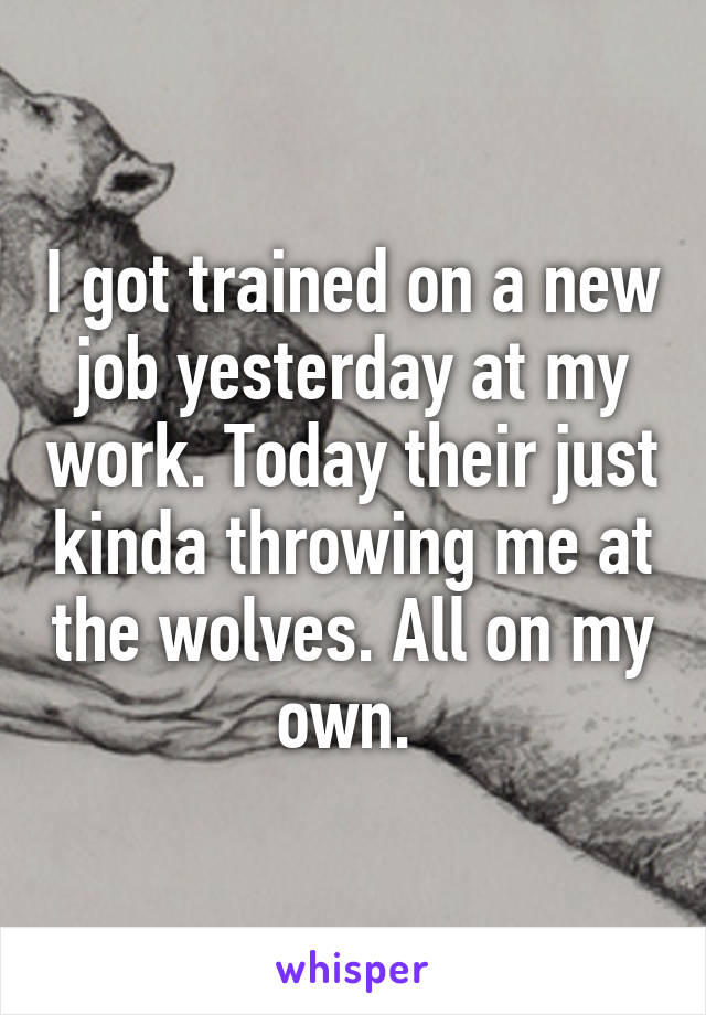 I got trained on a new job yesterday at my work. Today their just kinda throwing me at the wolves. All on my own. 