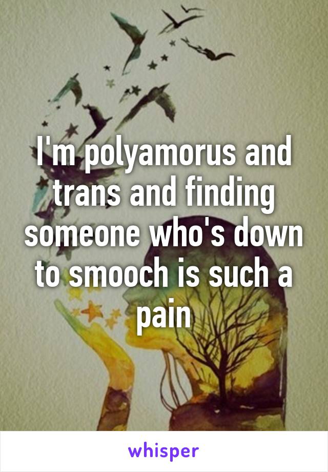 I'm polyamorus and trans and finding someone who's down to smooch is such a pain