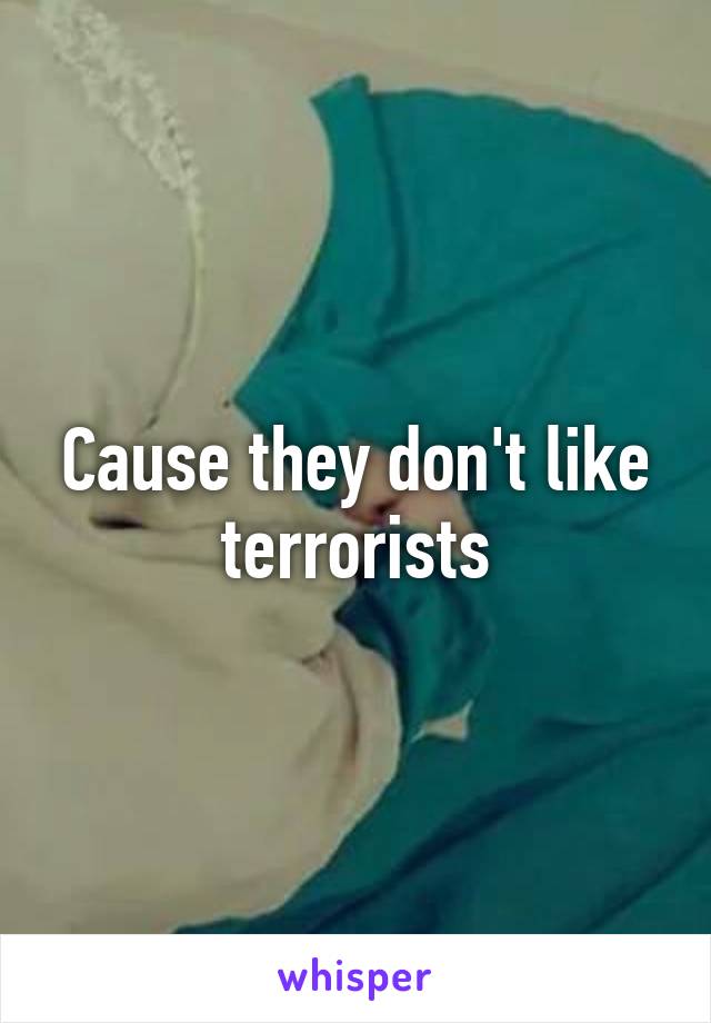 Cause they don't like terrorists