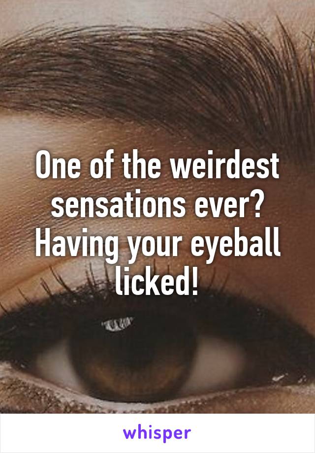 One of the weirdest sensations ever?
Having your eyeball licked!