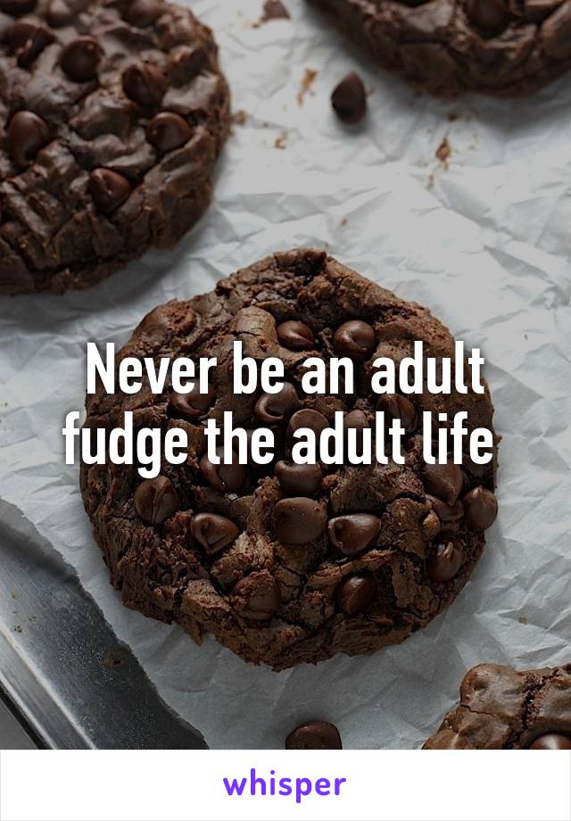 Never be an adult fudge the adult life 