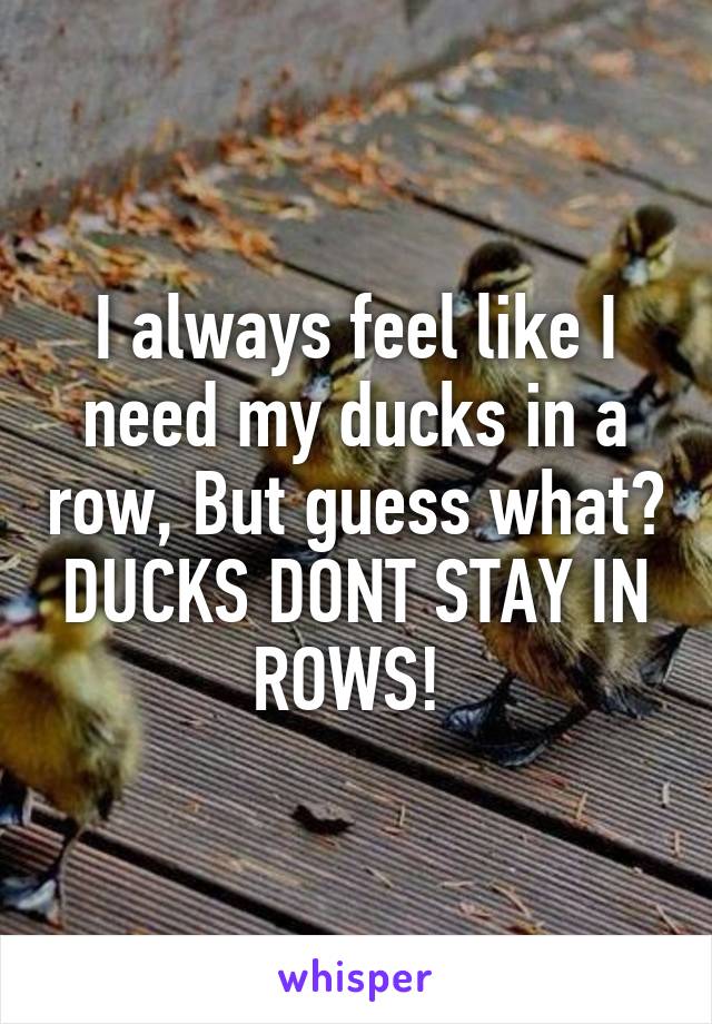 I always feel like I need my ducks in a row, But guess what? DUCKS DONT STAY IN ROWS! 