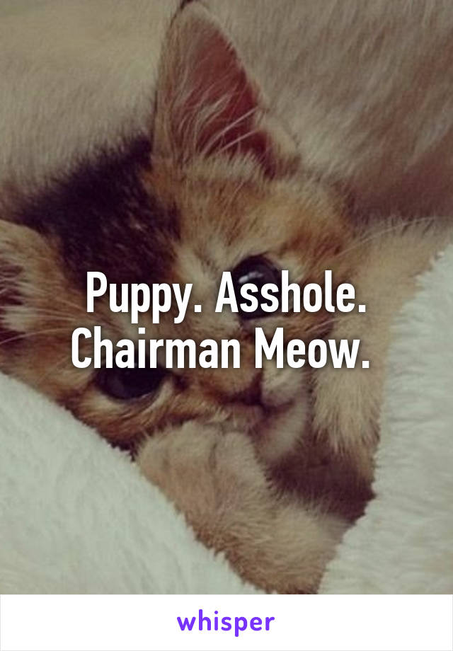 Puppy. Asshole. Chairman Meow. 