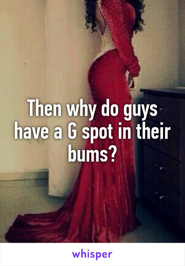 Then why do guys have a G spot in their bums?