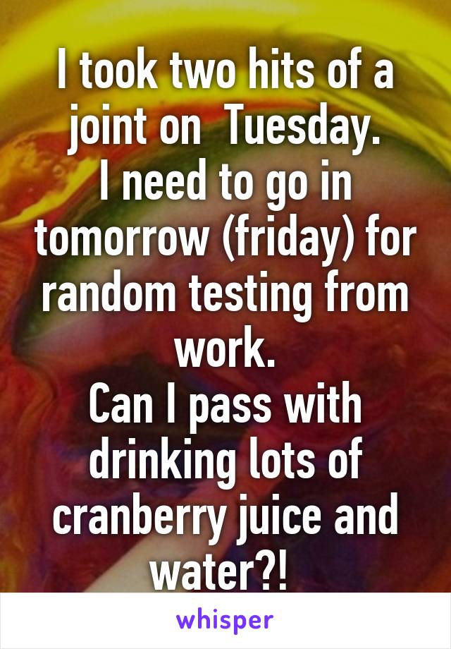 I took two hits of a joint on  Tuesday.
I need to go in tomorrow (friday) for random testing from work.
Can I pass with drinking lots of cranberry juice and water?! 