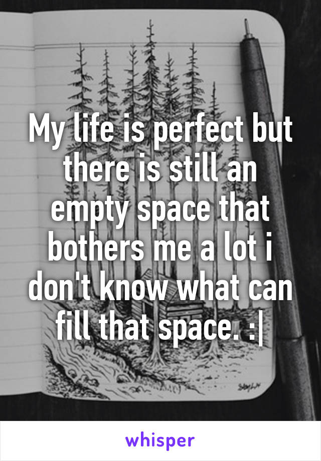 My life is perfect but there is still an empty space that bothers me a lot i don't know what can fill that space. :|