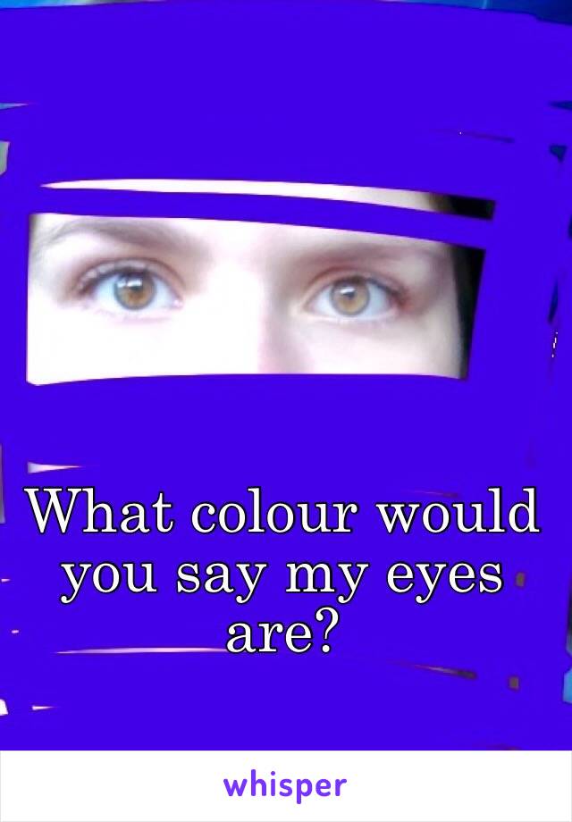 What colour would you say my eyes are?
