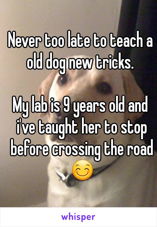 Never too late to teach a old dog new tricks. 

My lab is 9 years old and i've taught her to stop before crossing the road 😊