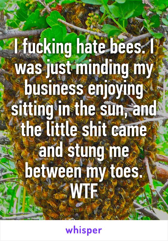 I fucking hate bees. I was just minding my business enjoying sitting in the sun, and the little shit came and stung me between my toes. WTF