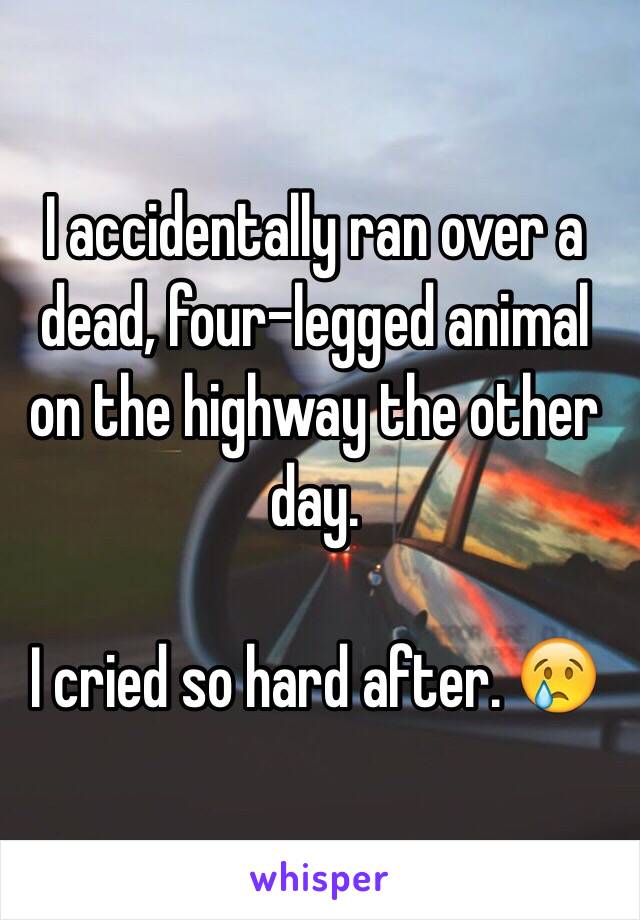 I accidentally ran over a dead, four-legged animal on the highway the other day. 

I cried so hard after. 😢