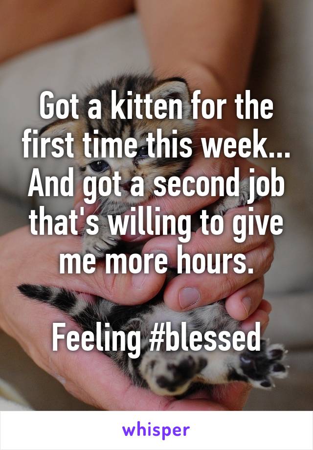 Got a kitten for the first time this week...
And got a second job that's willing to give me more hours.

Feeling #blessed