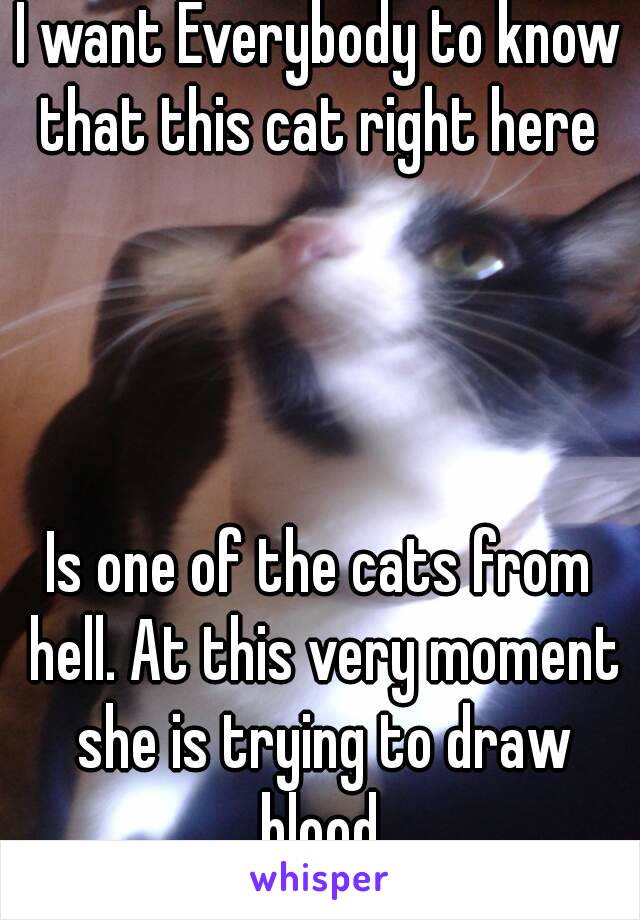 I want Everybody to know that this cat right here 
 



Is one of the cats from hell. At this very moment she is trying to draw blood.