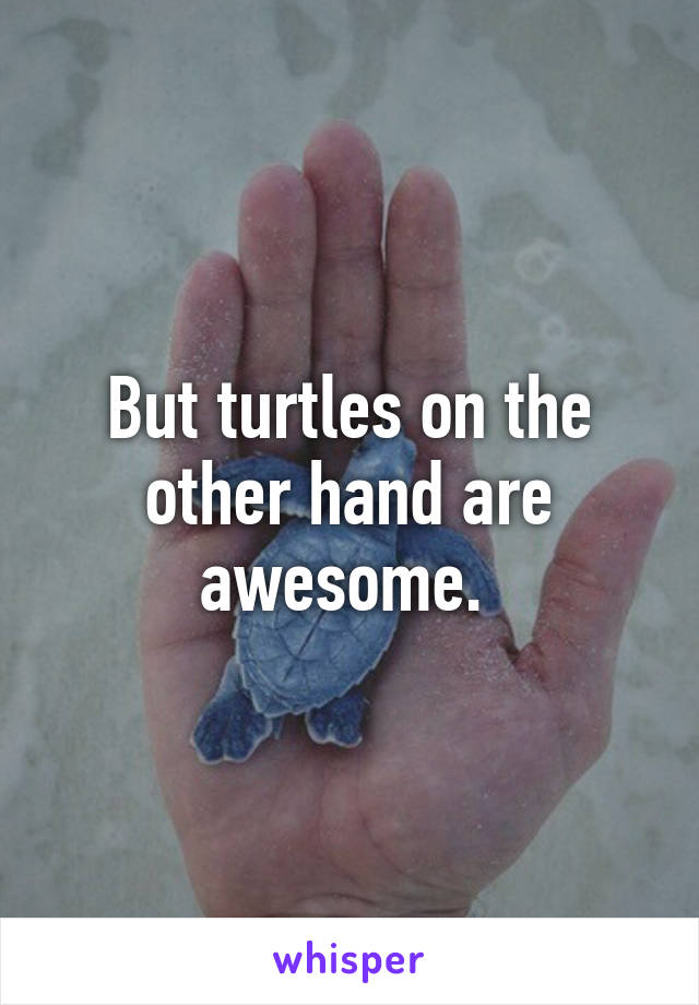 But turtles on the other hand are awesome. 