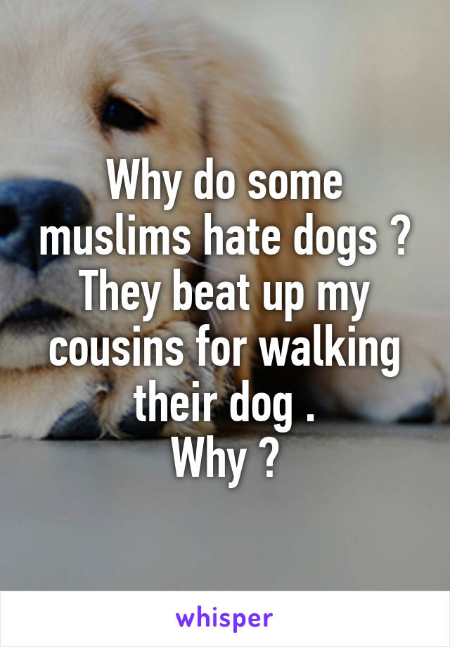 Why do some muslims hate dogs ? They beat up my cousins for walking their dog .
Why ?