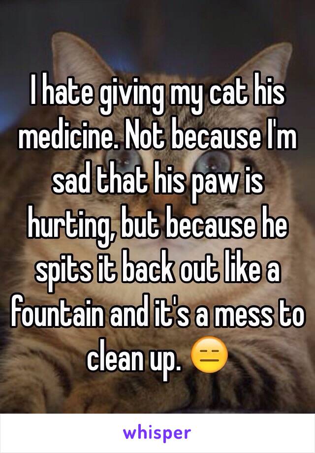 I hate giving my cat his medicine. Not because I'm sad that his paw is hurting, but because he spits it back out like a fountain and it's a mess to clean up. 😑