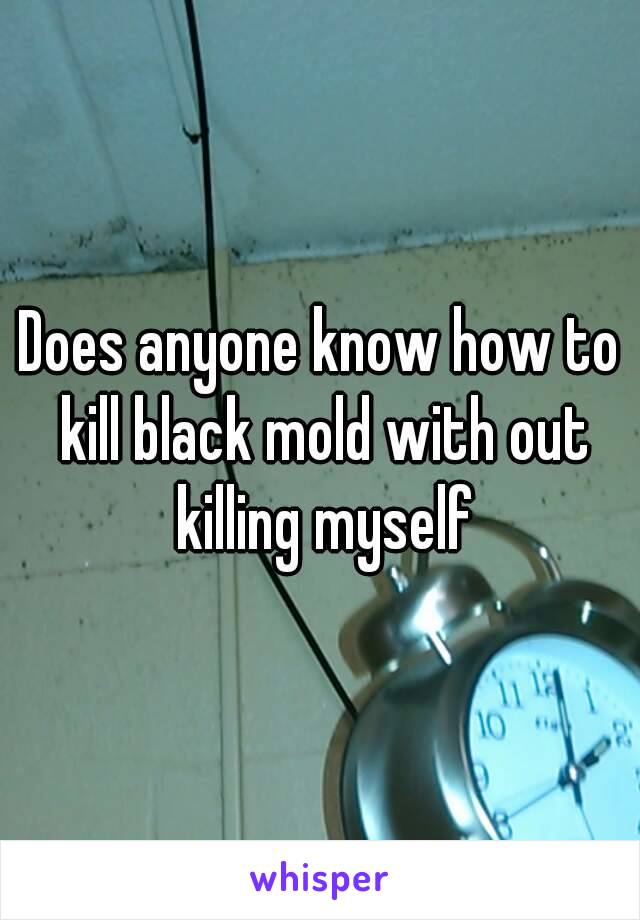 Does anyone know how to kill black mold with out killing myself
