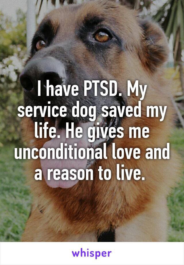 I have PTSD. My service dog saved my life. He gives me unconditional love and a reason to live. 