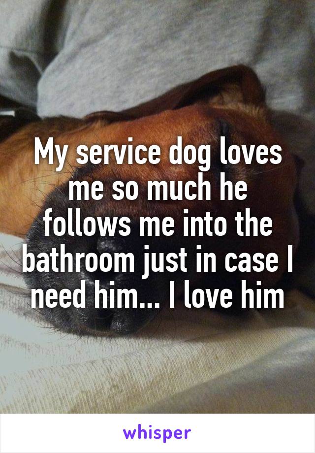 My service dog loves me so much he follows me into the bathroom just in case I need him... I love him
