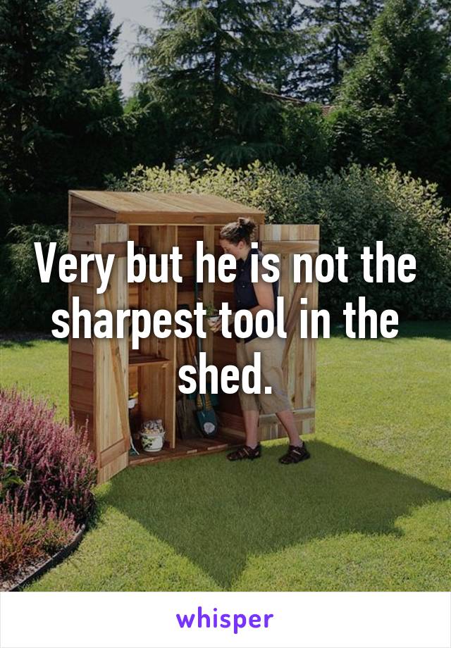 Very but he is not the sharpest tool in the shed.