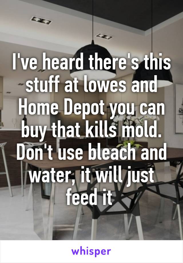 I've heard there's this stuff at lowes and Home Depot you can buy that kills mold. Don't use bleach and water, it will just feed it 