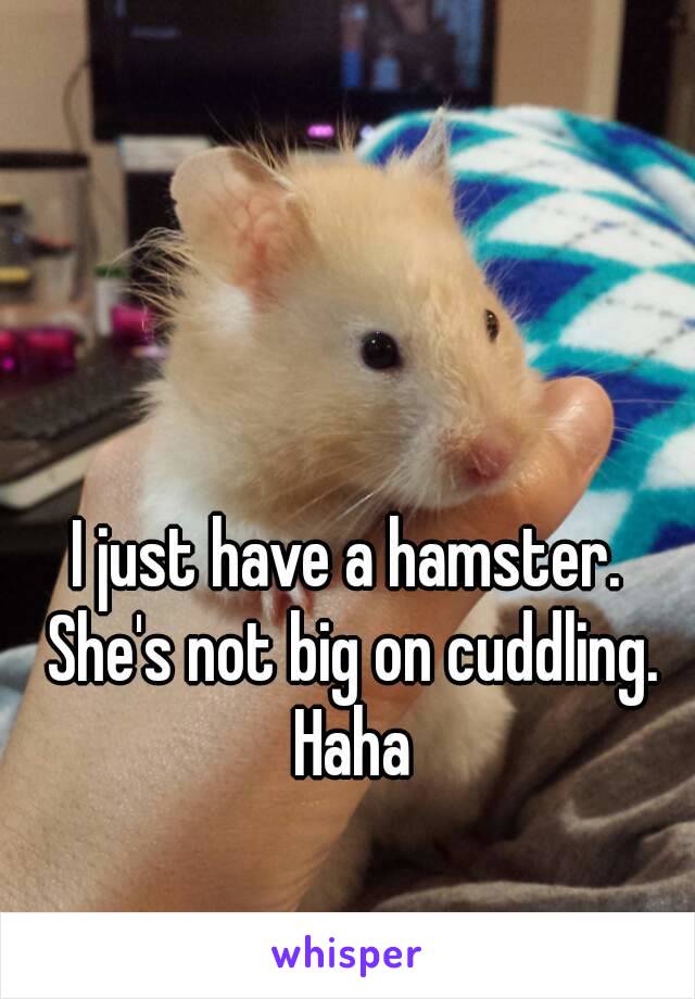 I just have a hamster.  She's not big on cuddling.  Haha 