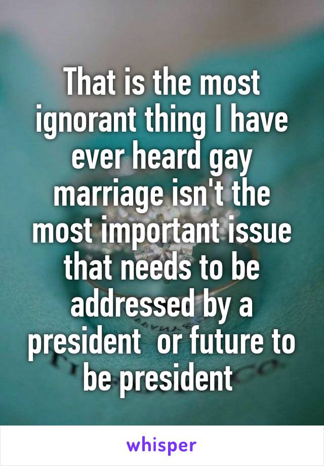 That is the most ignorant thing I have ever heard gay marriage isn't the most important issue that needs to be addressed by a president  or future to be president 