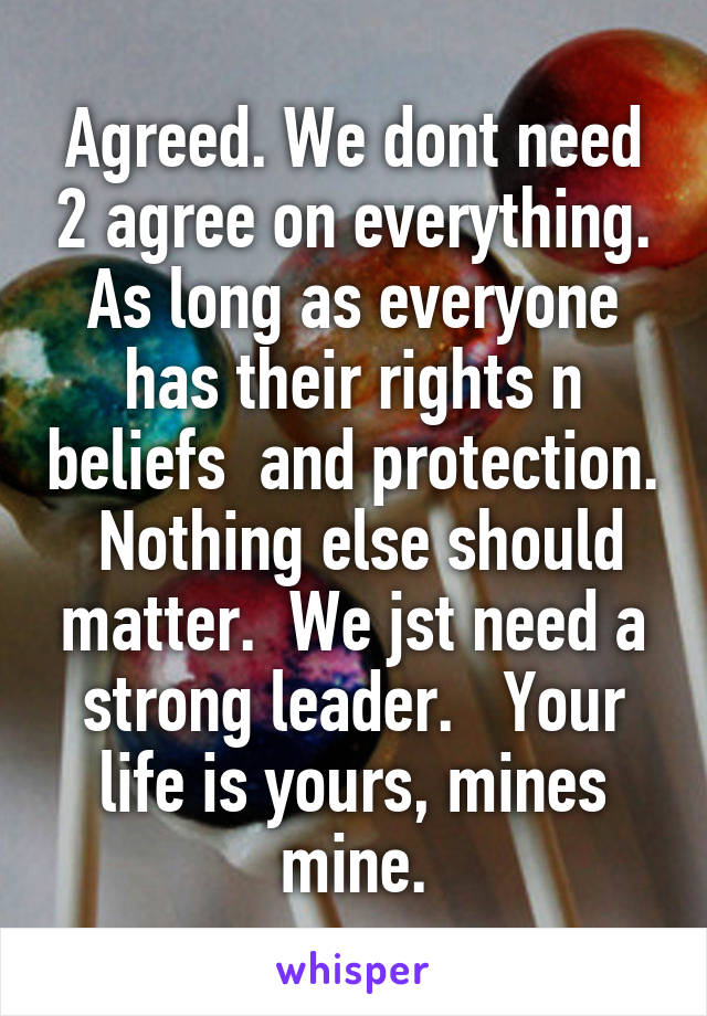 Agreed. We dont need 2 agree on everything. As long as everyone has their rights n beliefs  and protection.  Nothing else should matter.  We jst need a strong leader.   Your life is yours, mines mine.