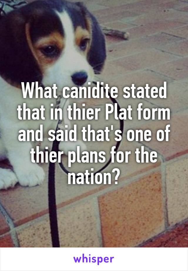 What canidite stated that in thier Plat form and said that's one of thier plans for the nation?