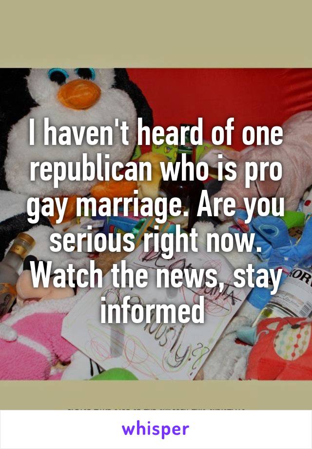 I haven't heard of one republican who is pro gay marriage. Are you serious right now. Watch the news, stay informed 