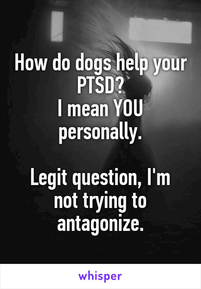 How do dogs help your PTSD?
I mean YOU personally.

Legit question, I'm not trying to antagonize.