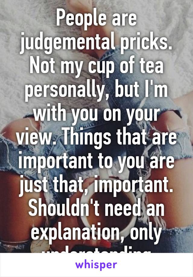 People are judgemental pricks. Not my cup of tea personally, but I'm with you on your view. Things that are important to you are just that, important. Shouldn't need an explanation, only understanding