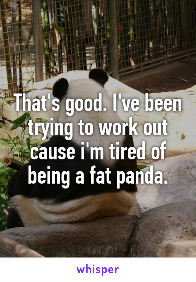 That's good. I've been trying to work out cause i'm tired of being a fat panda.