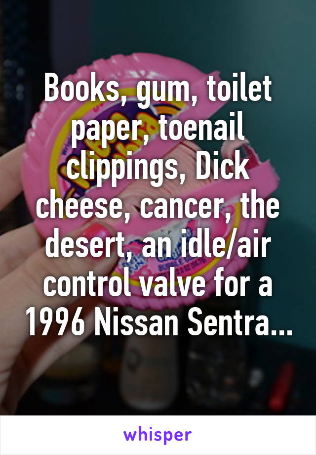 Books, gum, toilet paper, toenail clippings, Dick cheese, cancer, the desert, an idle/air control valve for a 1996 Nissan Sentra...  