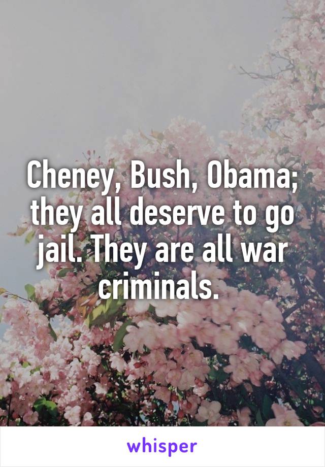 Cheney, Bush, Obama; they all deserve to go jail. They are all war criminals. 