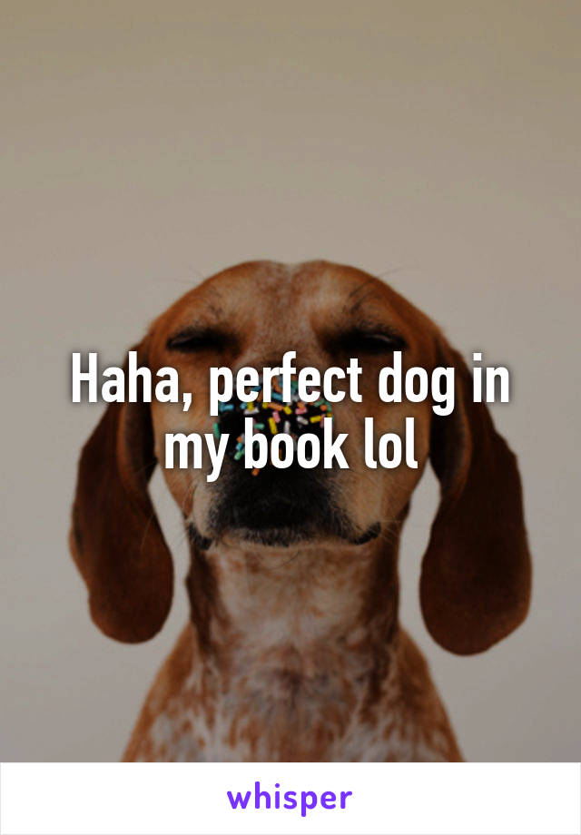 Haha, perfect dog in my book lol