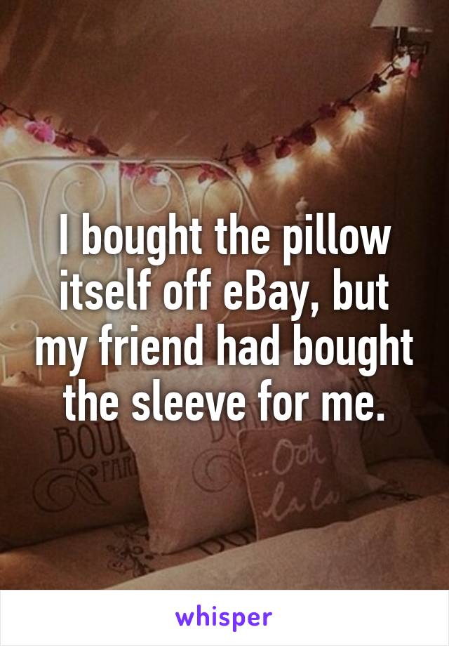 I bought the pillow itself off eBay, but my friend had bought the sleeve for me.