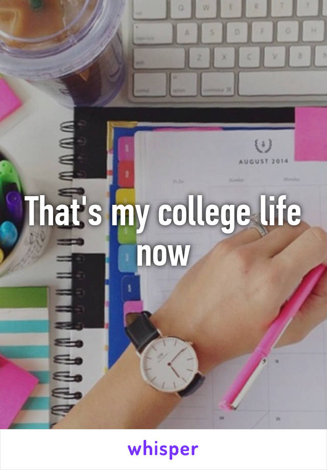 That's my college life now