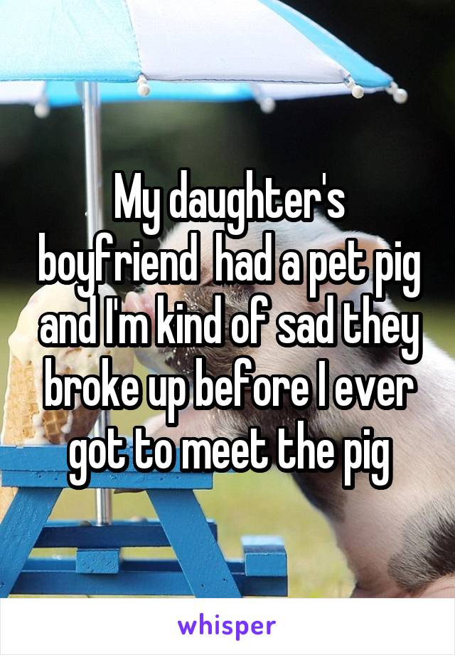 My daughter's boyfriend  had a pet pig and I'm kind of sad they broke up before I ever got to meet the pig