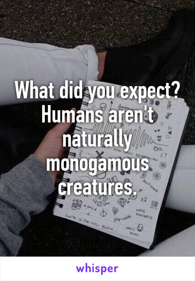 What did you expect? Humans aren't naturally monogamous creatures.