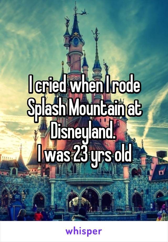 I cried when I rode Splash Mountain at Disneyland. 
I was 23 yrs old