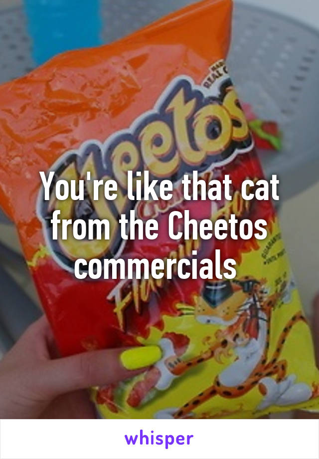 You're like that cat from the Cheetos commercials 