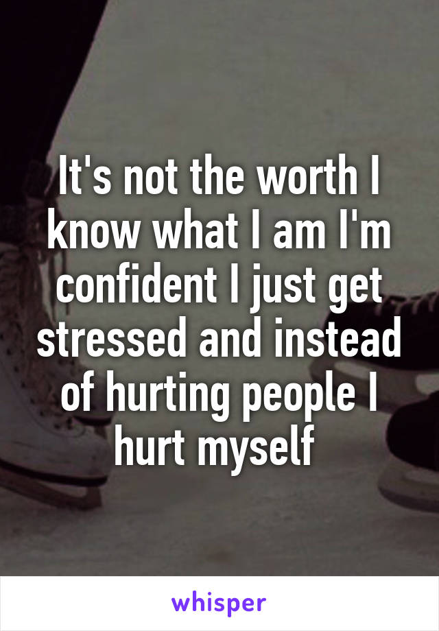 It's not the worth I know what I am I'm confident I just get stressed and instead of hurting people I hurt myself 