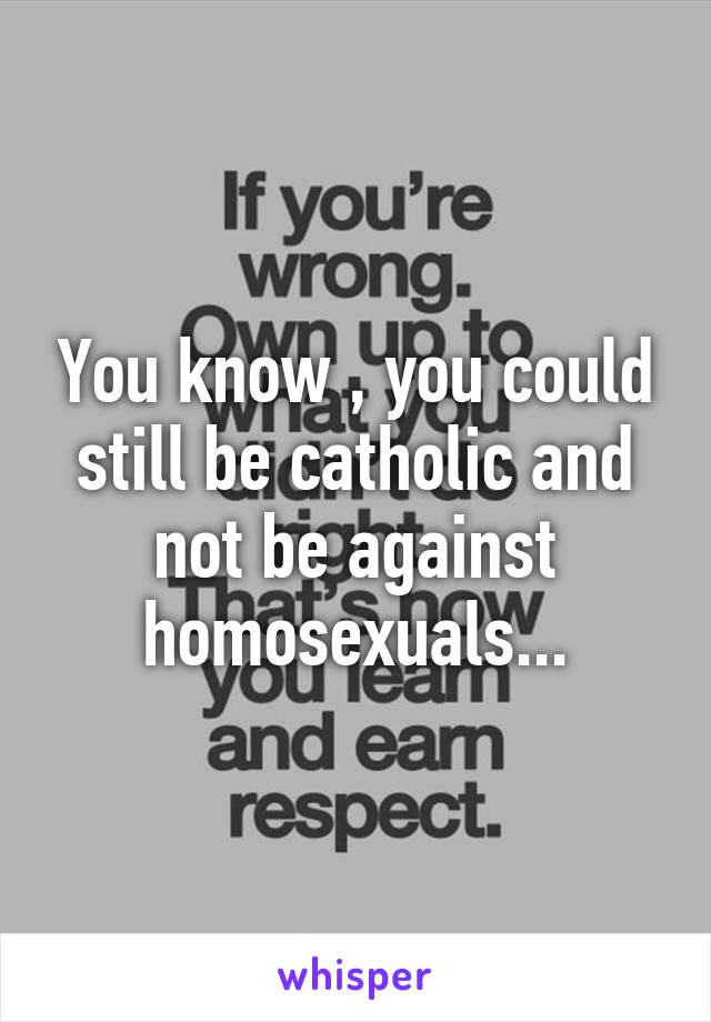 You know , you could still be catholic and not be against homosexuals...