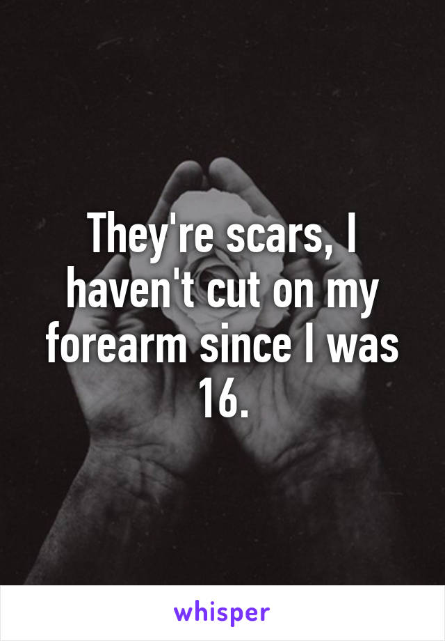 They're scars, I haven't cut on my forearm since I was 16.