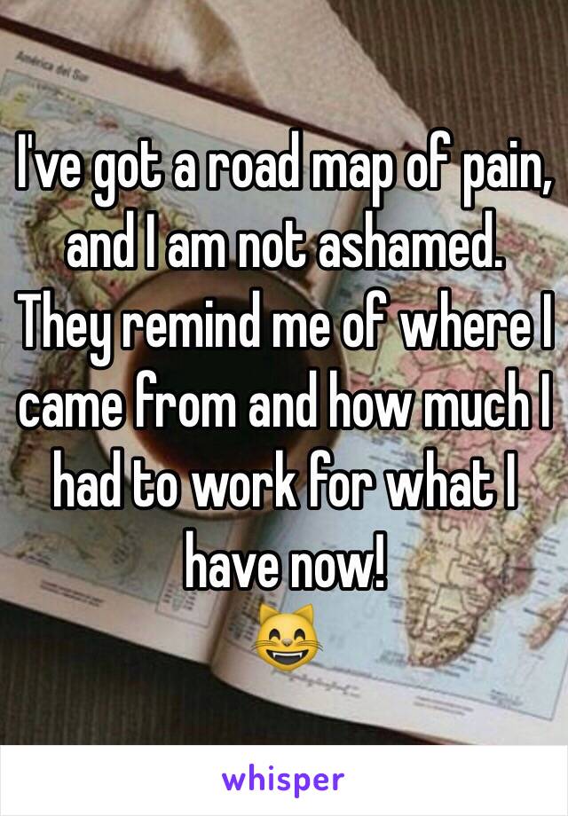 I've got a road map of pain, and I am not ashamed. They remind me of where I came from and how much I had to work for what I have now!
😸