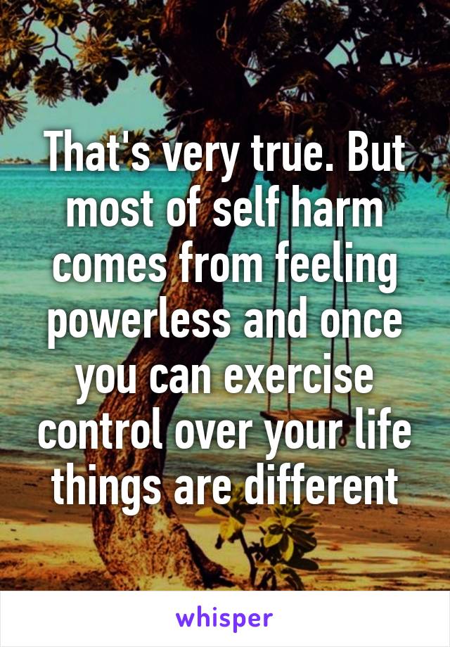 That's very true. But most of self harm comes from feeling powerless and once you can exercise control over your life things are different