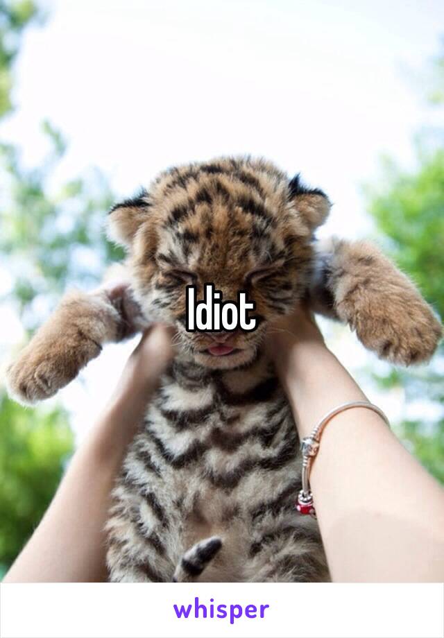 Idiot